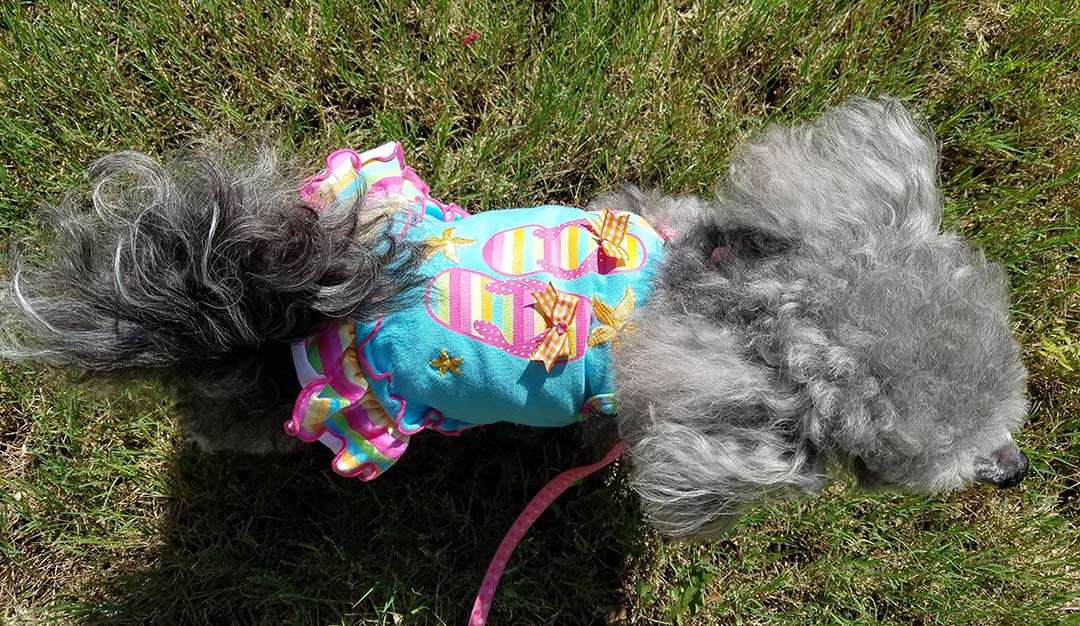 Happy 4th of July - Izzie in her swim suit