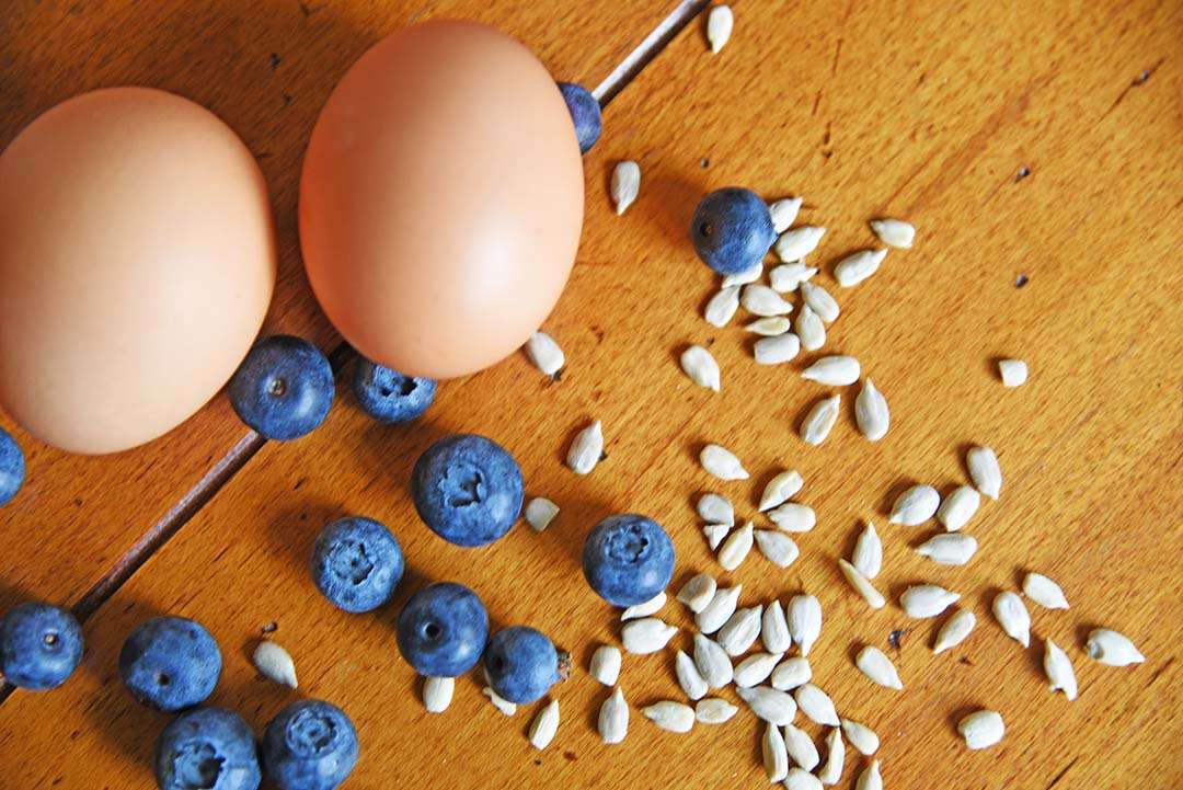 Jen's blueberry sunflower seed muffins - blueberries and sunflower seeds