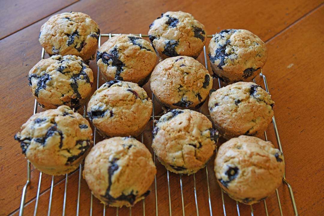 Jen's blueberry sunflower seed muffins - cool muffins on rack