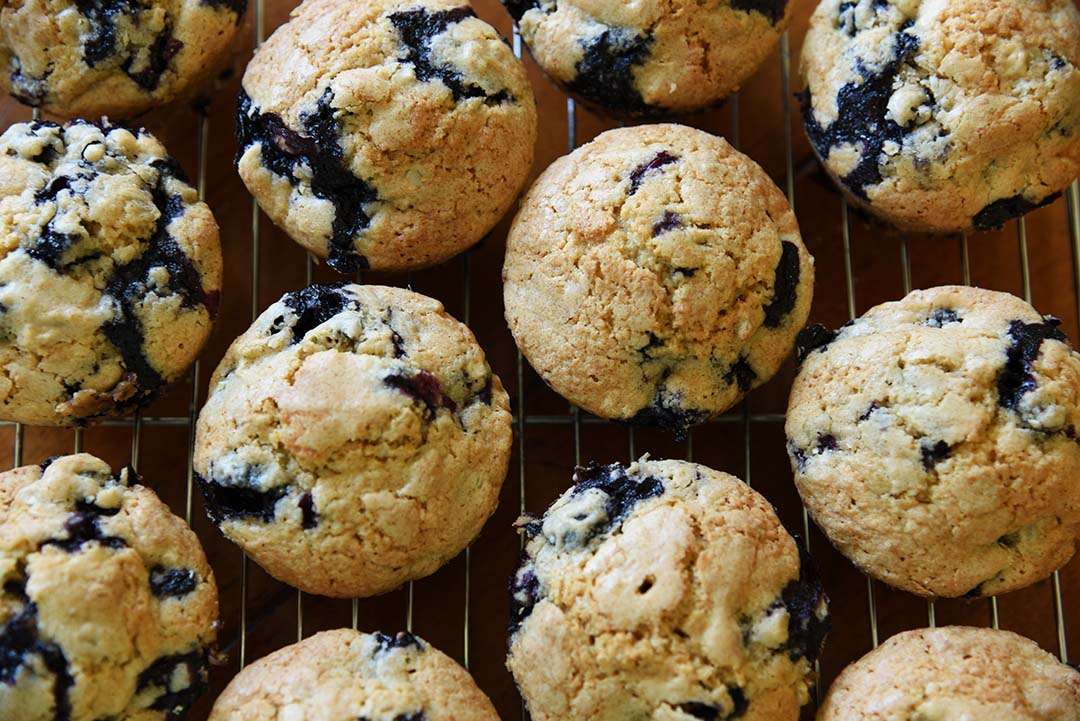 Jen's blueberry sunflower seed muffins - cool muffins