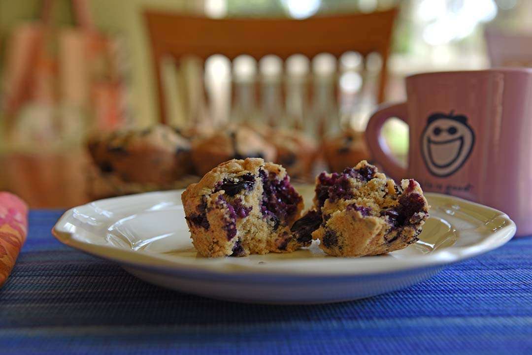 Jen's blueberry sunflower seed muffins - enjoy muffins for breakfast