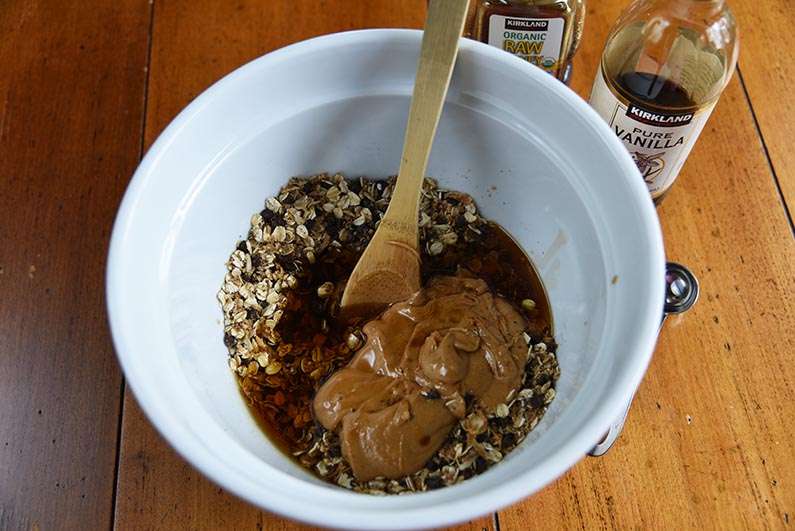 Sarah's No Bake Energy Balls-wet ingredients