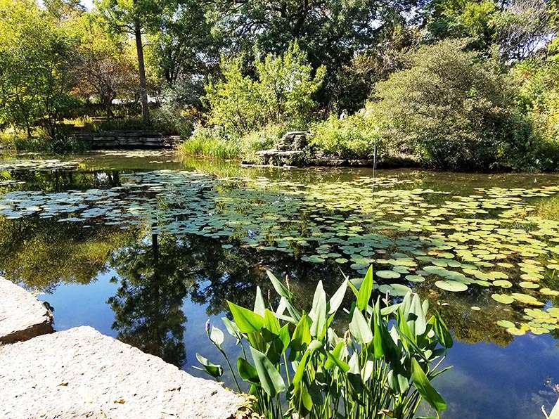 Walk through Lincoln Park in Chicago - Lincoln Park Lilly Pool