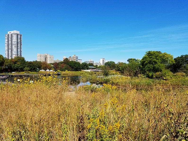 Walk through Lincoln Park in Chicago - Lincoln Park South Pond 1