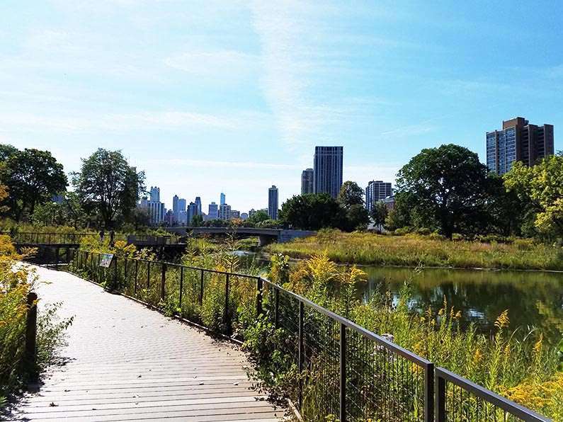 Walk through Lincoln Park in Chicago - Lincoln Park South Pond 2