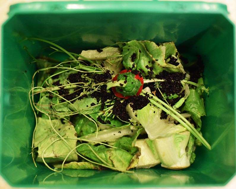 2017-10-07 Easy Composting - put your kitchen scraps in the composter