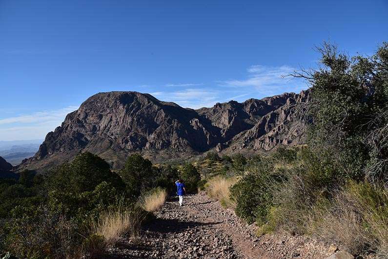 20 - 2017-11-07 Trip to Big Bend - Chisos Mountains - Hiking the Chisos Basin Loop Trail - 1