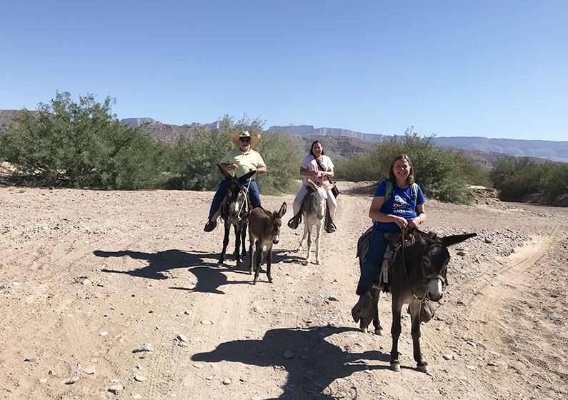 34 - 2017-11-07 Trip to Big Bend - Rio Grande - Boquillas - Our Burros - 1